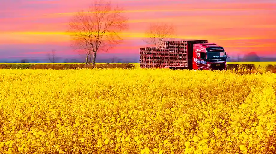 Trucking & Warehousing India — Road Transport & Storage Solutions | TTI Shipping & Logistics